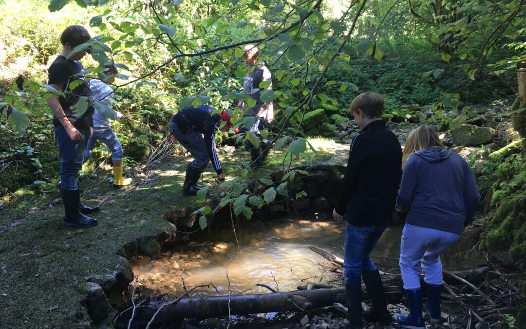 Naturtag der Klasse 5/6