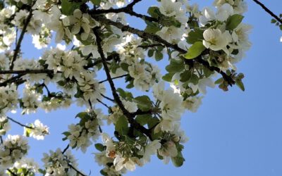 Natur entdecken mit allen Sinnen…